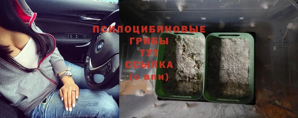 амф Заволжск