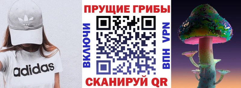 hydra ССЫЛКА  Зубцов  Псилоцибиновые грибы мицелий 