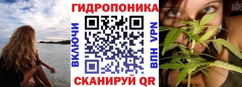 Каннабис план Зубцов